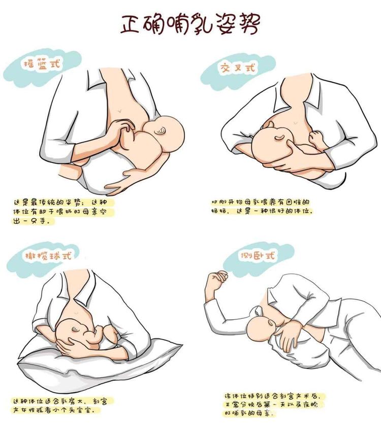 母乳喂養大全